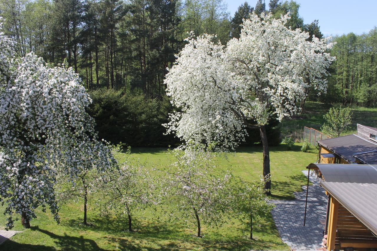 Paliepgiris Hotel Palanga Kültér fotó